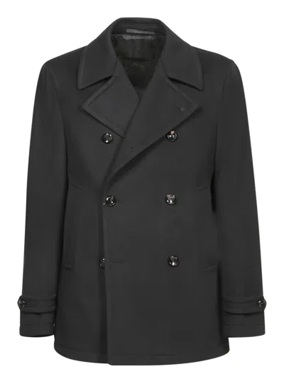 TAGLIATORE CLASSIC PEACOT