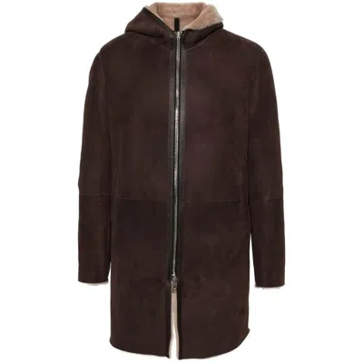 Tagliatore Coat In Brown