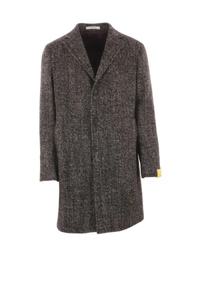 Tagliatore Coats In Brown