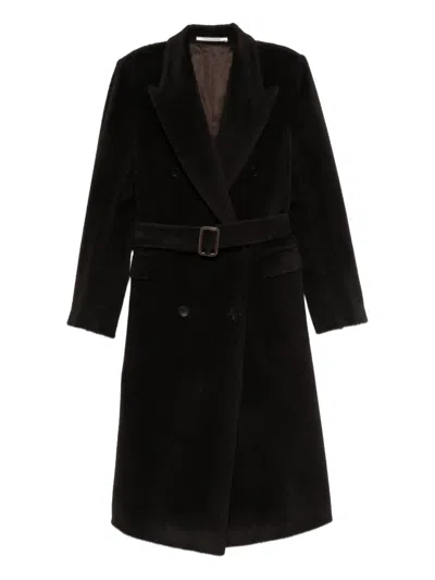 Tagliatore Coats Brown In Black