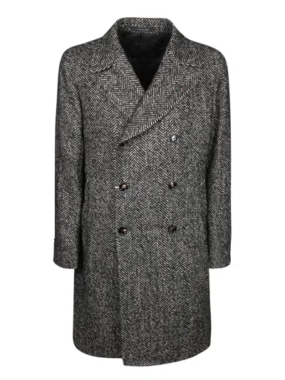 TAGLIATORE TAGLIATORE COATS