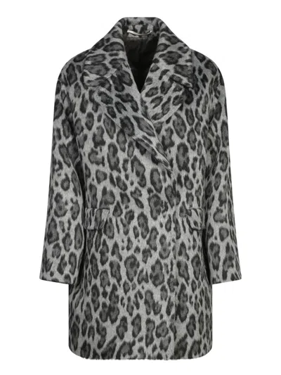 Tagliatore Coats In Multicolor