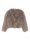 Tagliatore Teddy-textured Cropped Jacket In Gray