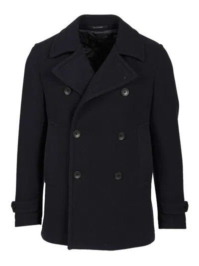 Tagliatore Double-breasted   Jacket In Black
