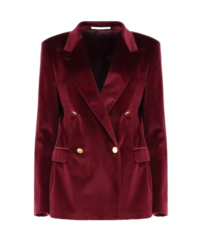 Tagliatore Double-breasted Velvet Jacket In Burgundy