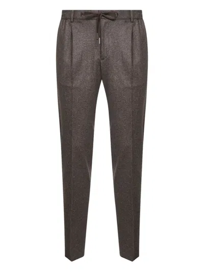 Tagliatore Drawstring Pleat Trousers In Brown