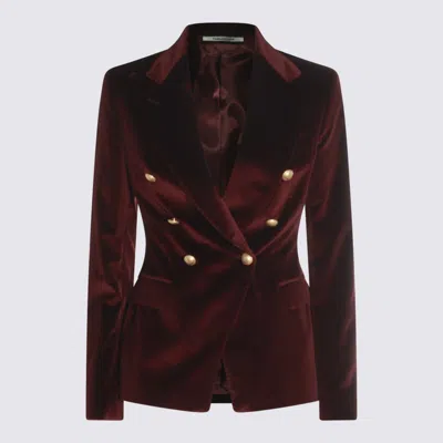 Tagliatore Double-breasted Velvet Blazer Gold-tone Buttons In Burgundy