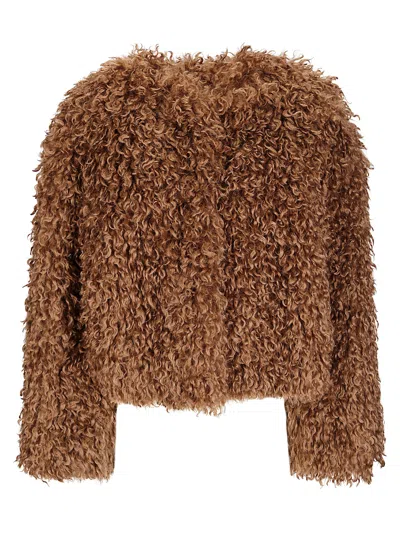Tagliatore Giubbino Perla In Brown
