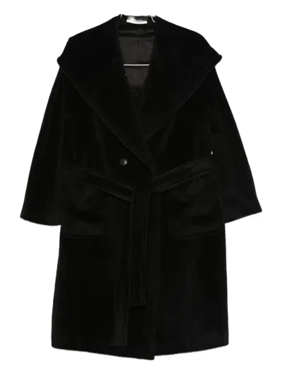 Tagliatore Hooded Belted Coat In Black