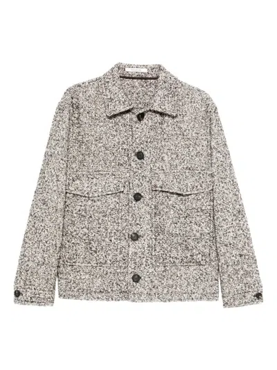 TAGLIATORE JACKET