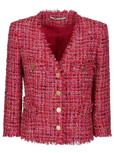 Tagliatore Jacket In Fucsia