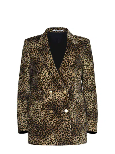 Tagliatore Jackets In Brown