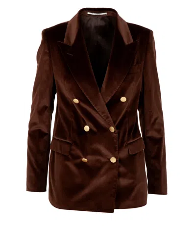Tagliatore Jackets Brown