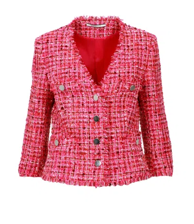 Tagliatore Jackets Fuchsia In Pink