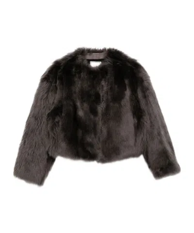 Tagliatore Long-sleeve Shearling Jacket In Brown