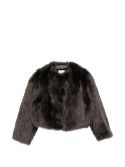 Tagliatore Long-sleeve Shearling Jacket In Brown