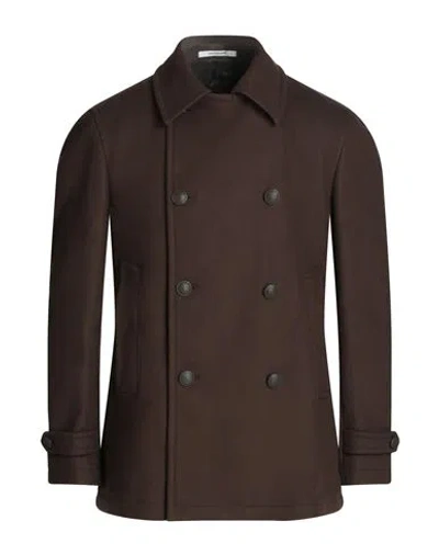 Tagliatore Man Coat Dark Brown Size 38 Virgin Wool, Polyamide, Cashmere In Brown