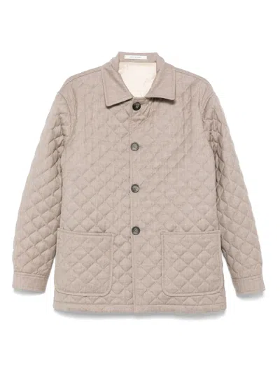 TAGLIATORE PADDED JACKET
