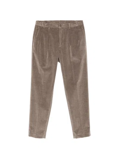 Tagliatore Casual Pants With Belt Loops In Brown