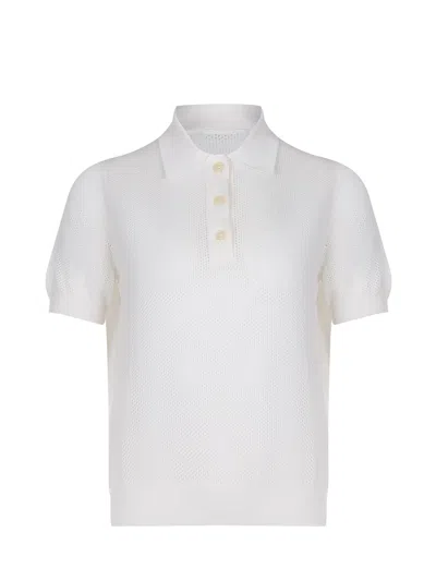 Tagliatore Polo  In White