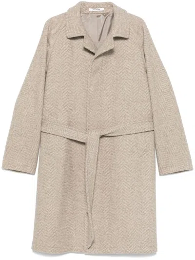 TAGLIATORE SALOMON COAT