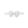 Tagliatore Silk Ties & Papillon