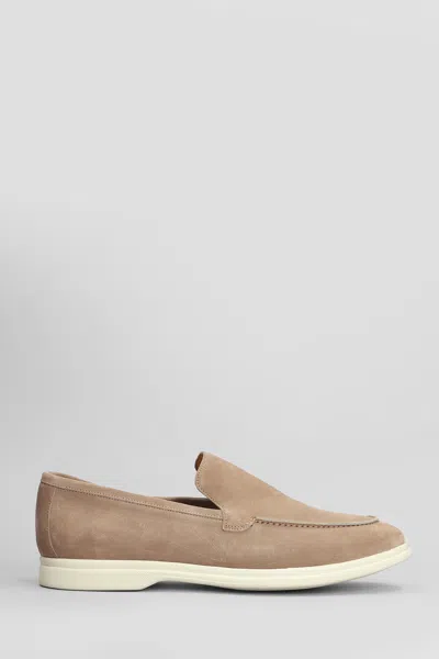 Tagliatore Simon Pe Loafers In Taupe Suede In Brown