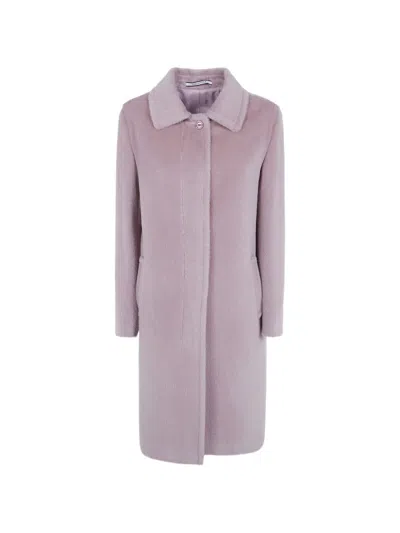 Tagliatore Single-breasted Alpaca Coat In Purple
