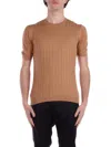 Tagliatore Ribbed Fitted T-shirt With Classic Crew Neckline In Avorio Bianco