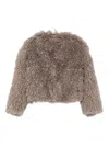 Tagliatore Teddy-textured Cropped Jacket In Gray