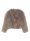 Tagliatore Teddy-textured Cropped Jacket In Gray