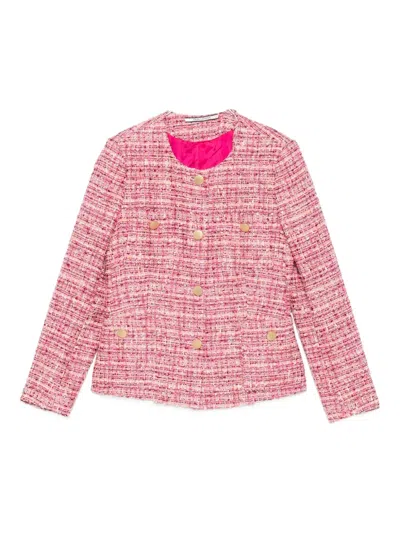 Tagliatore Tweed Gold-button Jacket In Pink