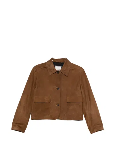 Tagliatore Valerie Suede Jacket In Brown