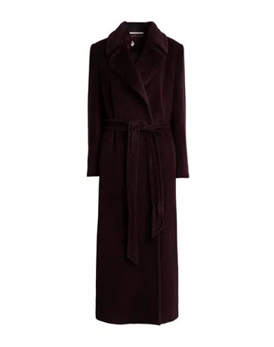 Tagliatore Woman Coat Plum Size 4 Alpaca Wool, Virgin Wool In Purple