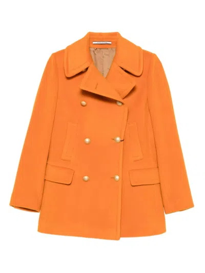 TAGLIATORE WOMEN'S COATS