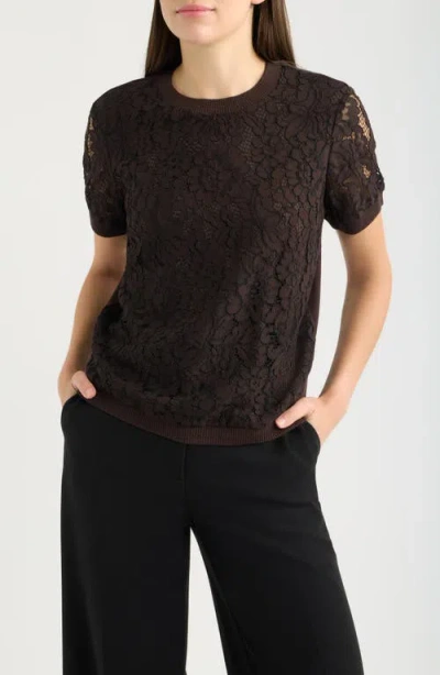 Tahari Asl Lace Front Short Sleeve Sweater In Brown
