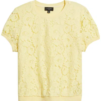 Tahari Asl Lace Front Sweater In Yellow