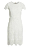 Tahari Asl Midi Dress