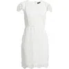 Tahari Asl Paisley Lace Cap Sleeve Sheath Dress In White