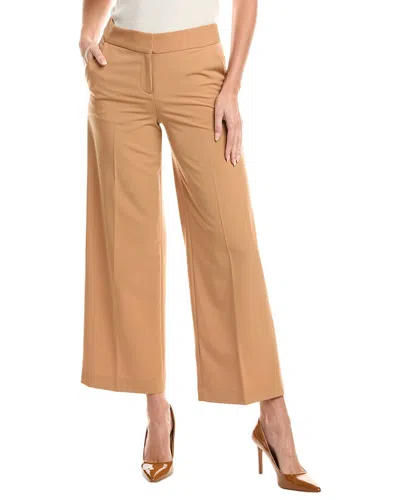 Tahari Asl Petite Pant In Brown