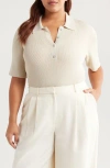 Tahari Asl Rib Polo