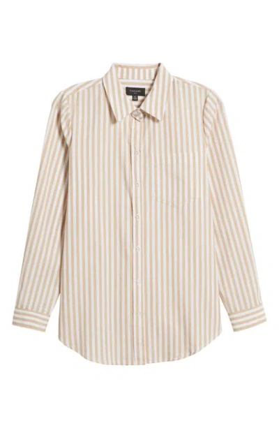 Tahari Asl Stripe Button-up Shirt In Sand White