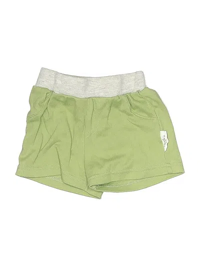 Pre-owned Tahari Babies' Athletic Shorts In Green