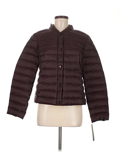 Tahari Jacket In Brown