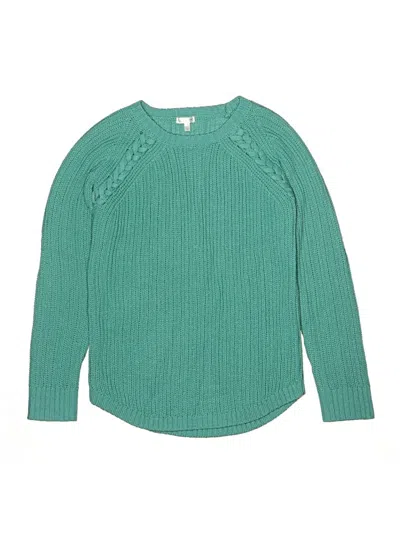 Pre-owned Tahari Kids' Pullover Sweater In Blue