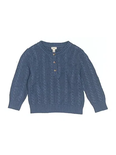 Pre-owned Tahari Babies' Pullover Sweater In Blue