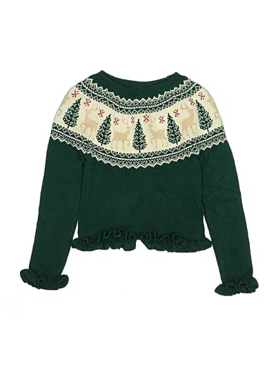 Pre-owned Tahari Kids' Pullover Sweater In Green