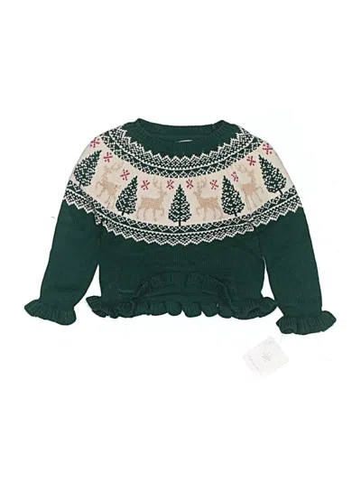 Pre-owned Tahari Kids' Pullover Sweater In Green