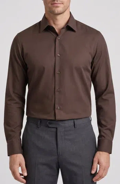 Tahari Stretch Cotton Dress Shirt In Brown