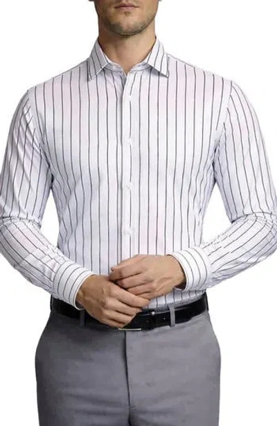 Tahari Stripe Cotton Dress Shirt In White